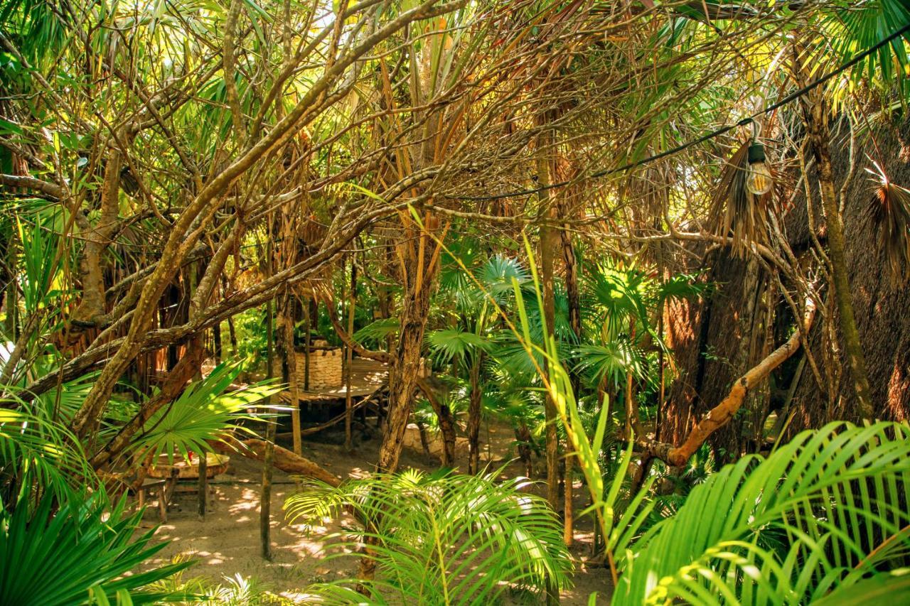 Ikal Tulum Hotel Экстерьер фото Jungle